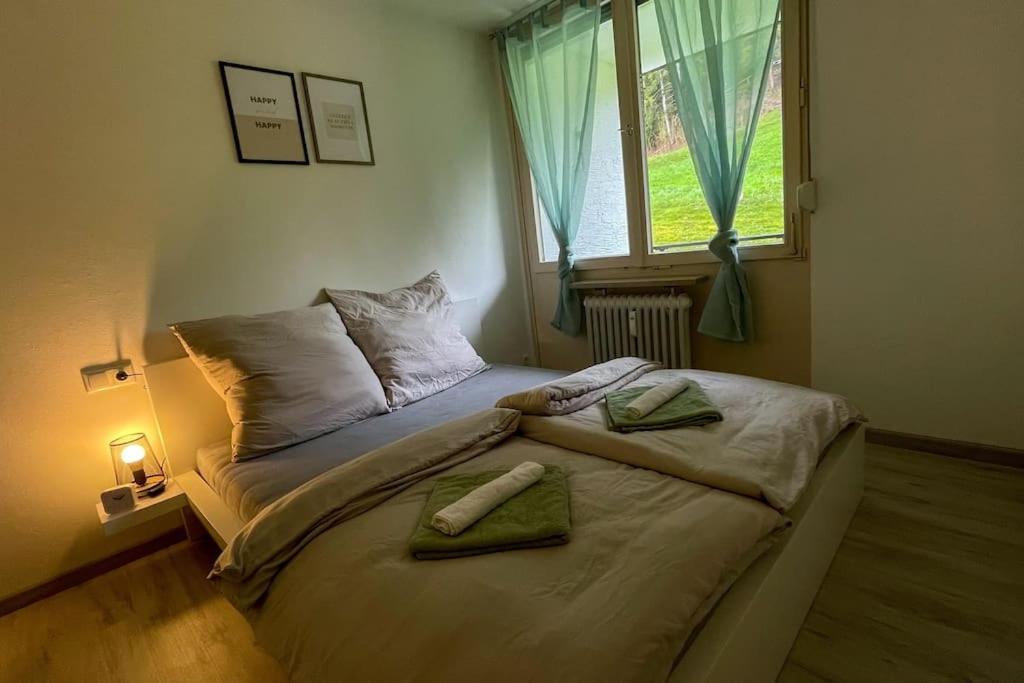 Shine Apartment Oberstaufen Ngoại thất bức ảnh